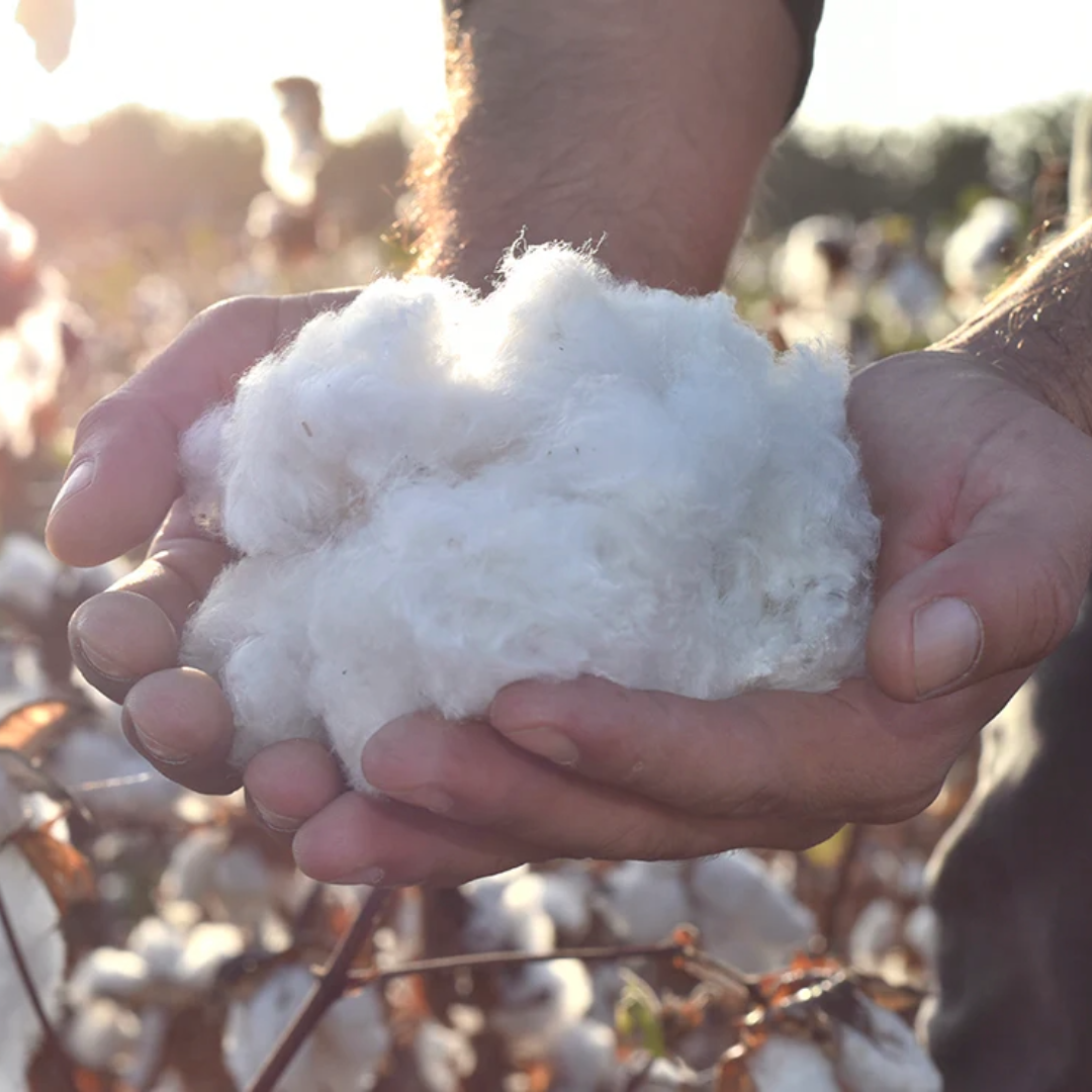 BREAKING THE COTTON MYTH